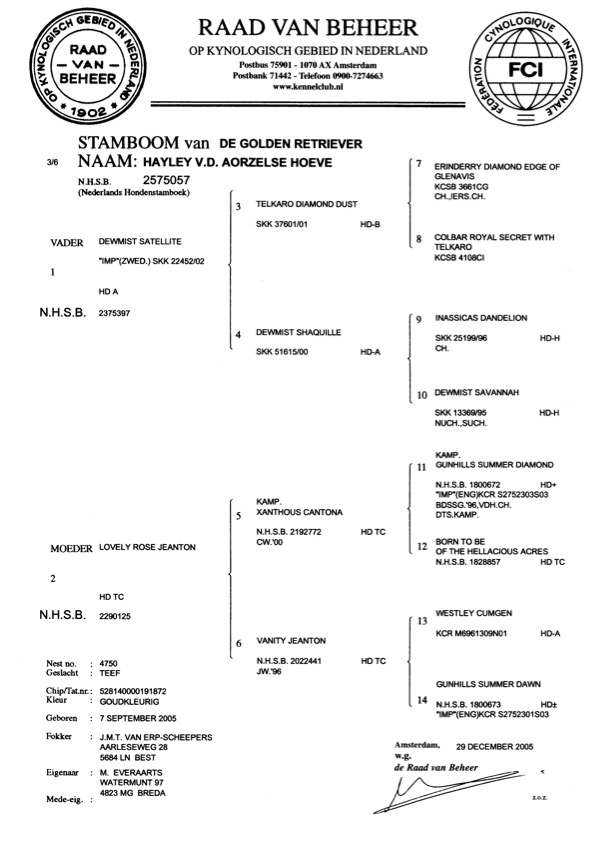 Stamboom Hayley kleiner