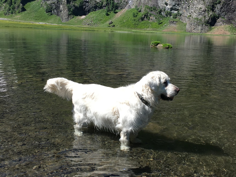 2017 06 11 hayley in water