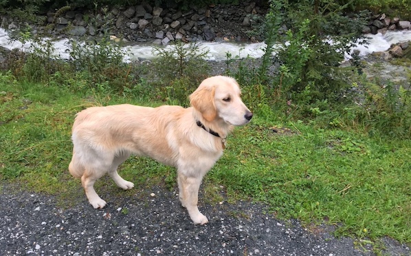 2017 09 03 luna wandelen uitsnede
