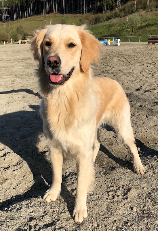 2018 04 18 luna paardenbak