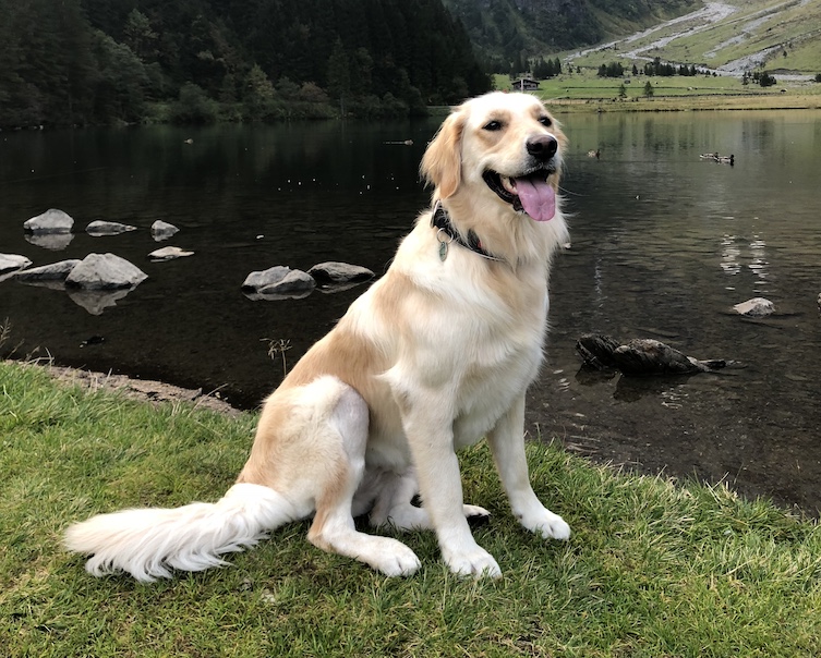 2018 09 17 luna hintersee