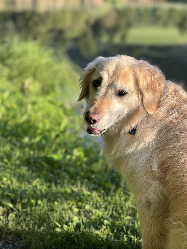 2024 07 26 luna lief