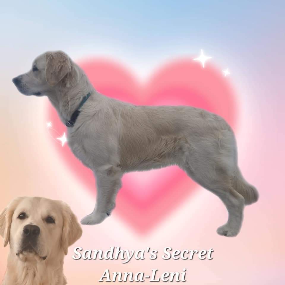 sandhyas secret anna leni