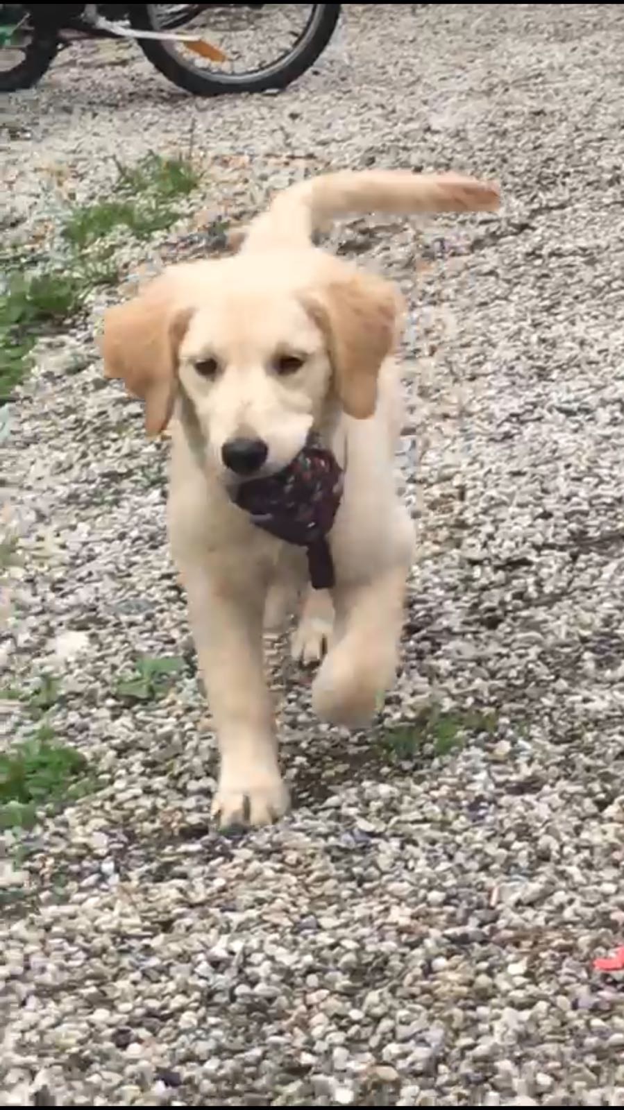 2017 06 07 ontmoeting luna